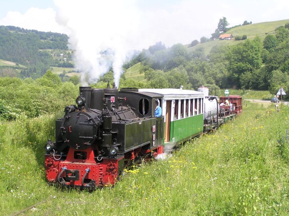 Vaser Valley steam train, Maramures